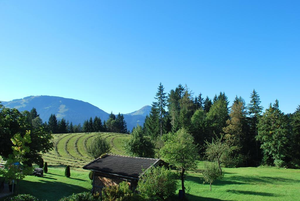 Berggasthof Baernstatt Scheffau am Wilden Kaiser Exterior photo